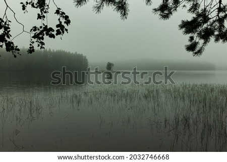 Early morning on lake. Beautiful, mysterious view pictured from riverbank, green island full of trees in mist, opposite shore covered with dense forest hiding under thick fog. Nobody around