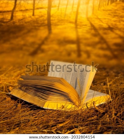 one Open book  in sunlight lie on yellow  grass background. Season, education, nature, literature concept. Back to school idea. Autumn season. 