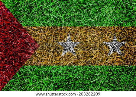 Sao Tome and Principe Flag color grass texture background concept