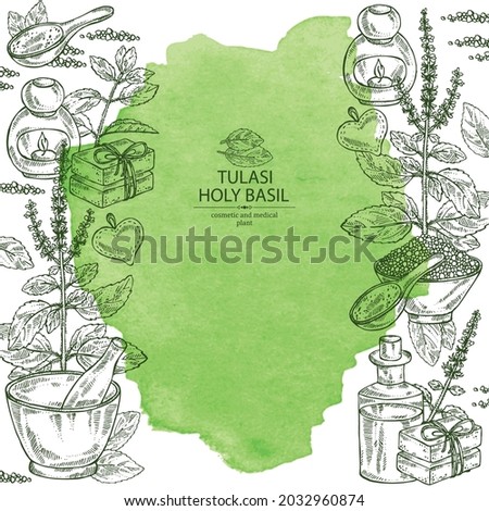 Watercolor background with tulasi: holy basil plant and tulasi leaves. Sacred plant.  Oil, soap and bath salt . Cosmetics and medical plant. Vector hand drawn illustration Royalty-Free Stock Photo #2032960874
