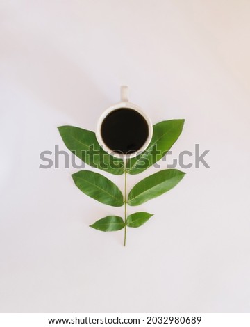 cup of coffee on a white background with green leaves on a brunch making flower.nature relax concept idea.autumn design