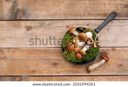 Fresh wild mushrooms in a cast-iron frying pan. Top view on wooden boards, with a copy of the space