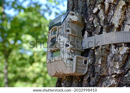 Camera attached to a tree, used by hunters to spy wild animals. Black Trail Cam camera on Poplar Tree capturing wildlife such as deer as they walk by. Camouflage Night vision camera on a tree.