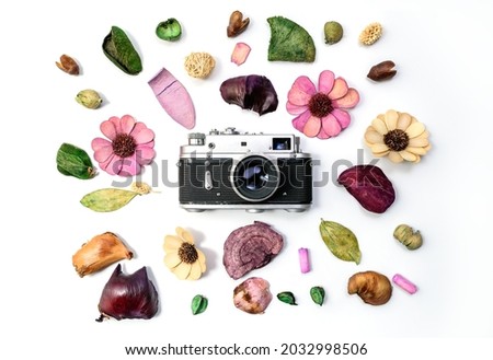 Old vintage camera surrounded with artificial flowers, dried flowers, leaves and plant details. Product photography concept