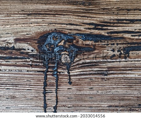 Coal tar treated wooden plank showing weathering. Royalty-Free Stock Photo #2033014556