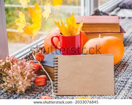 Yellow, bright leaves on the background of the window. A beautiful photo on an autumn theme. Close-up, side view. Concept of changing seasons