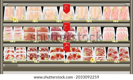 Fresh meat packed in trays on the counter of the butcher store. Frozen and chilled pork, beef and chicken. Vector illustration.