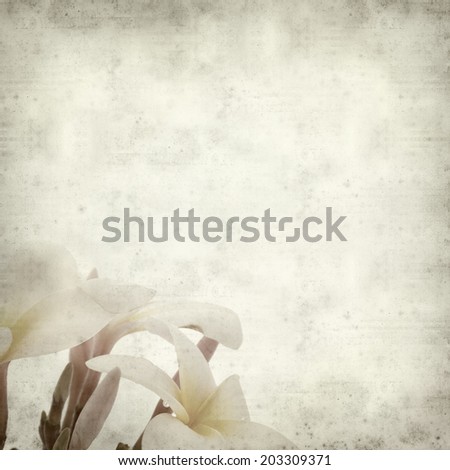 textured old paper background with frangipani flower