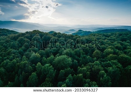 Aerial top view forest tree, Rainforest ecosystem and healthy environment concept and background, Texture of green tree forest view from above Royalty-Free Stock Photo #2033096327