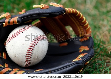 baseball ball with glove and bat on nature