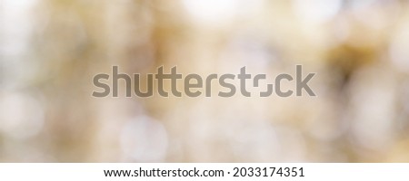 blurred autumn forest background with beautiful bokeh