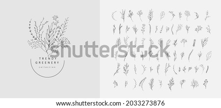 Floral branch. Hand drawn wedding herb, homeplant with elegant leaves for invitation save the date card design. Botanical rustic Royalty-Free Stock Photo #2033273876
