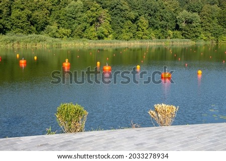 Forest and green leaves over water. Ukraine, Ternopil