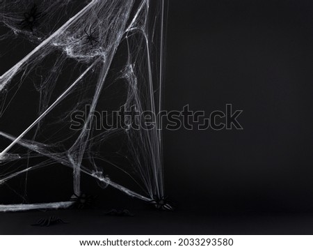 Happy Halloween  mock up concept spider webs and scary spiders on dark background with copy space. Halloween background space for text. 