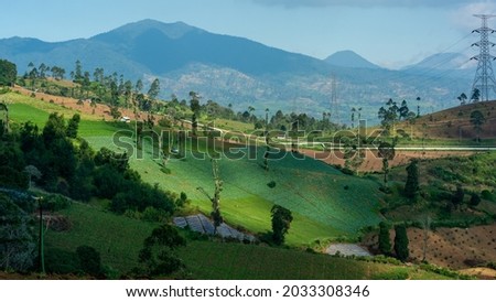 landscape vegetable garden in the mountains