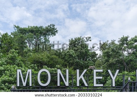 A big lettered sign with the word monkey and a monkey climbing on it. background with trees and sky