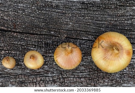 fresh onions of golden color of different sizes on a wooden surface background. High quality photo