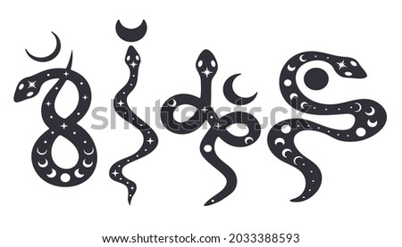 Set of celestial snakes. Moon phases silhouette. Boho snakes. Vector illustration.