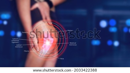 Human Knee joint anatomical diagram,  medical scheme. Educational information template.
 Royalty-Free Stock Photo #2033422388