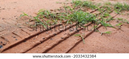 Tyre track on dirt sand or mud, Picture in retro and grunge tone. Car drive on sand. off road track. Track on grass field.