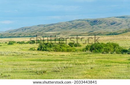 steppe, prairie, veld, veld - Great Plains. Kazakhstan The steppe is great. Since arid prairies are unsuitable for agriculture or business development, they retain much of their natural landscape.