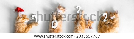 on a light white sheet, ginger kittens are sleeping in a hat of Santa Claus and holding white numbers 2022 in their paws. banner concept new 2022 year.bokeh