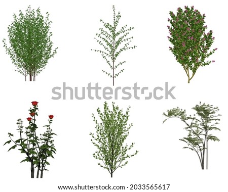 Green trees plants isolated on white background. Forest and foliage in summer