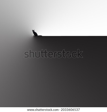 Simple and Fine art Photography with balck cat object