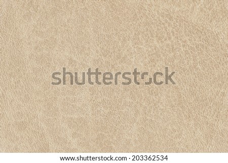 Photograph of old, animal skin parchment, coarse grained, grunge texture sample