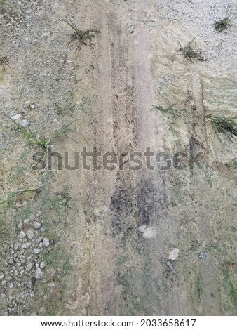 vehicle tyre track imprinted on the rural pathway