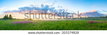 summer rural landscape with sunrise panorama Royalty-Free Stock Photo #203374828