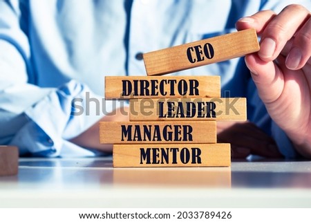 Wooden cubes with CEO concept. Description of the image and role of the CEO. Financial, marketing and business leader concept.