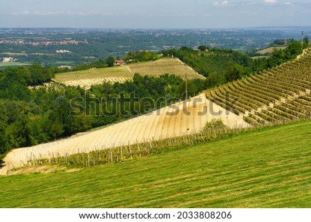 Rural landscape of vineyards at springtime in Langhe near Dogliani, Cuneo province, Piedmont, Italy, Unesco World Heritage Site.