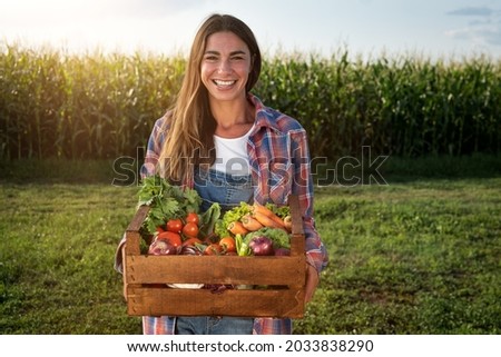 Authentic shot of happy farmer holding basket with fresh harvested at the moment vegetables and smiling in camera on countryside field. Concept:biological, bio products, bio ecology, vegetarian, vegan Royalty-Free Stock Photo #2033838290