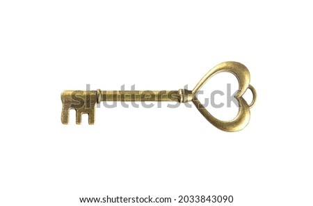 isolated vintage old golden and bronze key, successful concept