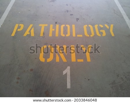 line marking car parks roads stencils painting parking bay lines 