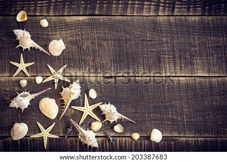 Seashells on wood