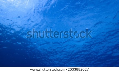 Underwater Background - Blue Water Backdrop. Aqua Marine Abstract Nature. Looking up from under water Indo Pacific - Indian Ocean with Sunlight and Fishes on Sea Surface.