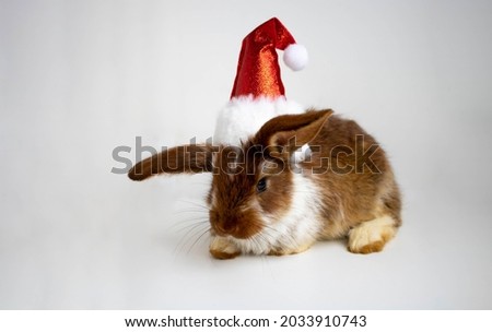 A funny little brown rabbit in a red Christmas hat