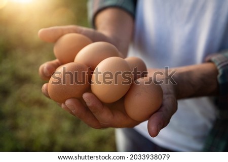 Close up of farmer is showing fresh eggs laid at the moment by ecologically grown hens in barn of countryside agricultural farm. Concept of agriculture, bio and eco farming, bio food products. Royalty-Free Stock Photo #2033938079