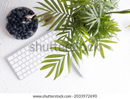 Green plant leaves on desktop with keyboard