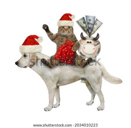 A beige cat in a Santa Claus hat with a sack of gifts and a piggy bank rides a dog labrador. White background. Isolated.