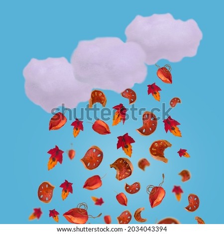 Minimal scene with clouds and raindrops made of colorful autumn leaves and sliced dried pumpkin. Creative weather concept.