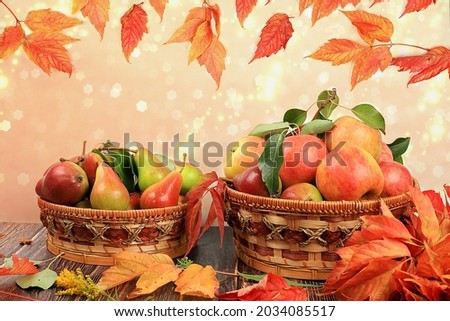 Basket with pears and apples on a wooden table. Autumn abstract composition with maple leaves on blurred bokeh background, thanksgiving day concept, banner or splash for screen, postcard,