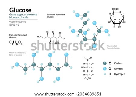 Glucose. Grape Sugar or Dextrose. Monosaccharide. Cyclic and Open Chain Form of Glucose. C6H12O6. Structural Chemical Formula and Molecule 3d Model. Atoms with Color Coding. Vector Illustration  Royalty-Free Stock Photo #2034089651
