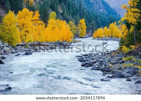 Fall colors along the Tumwater Canyon as the Wenatchee River flows past in the Cascade Mountains of Washington State