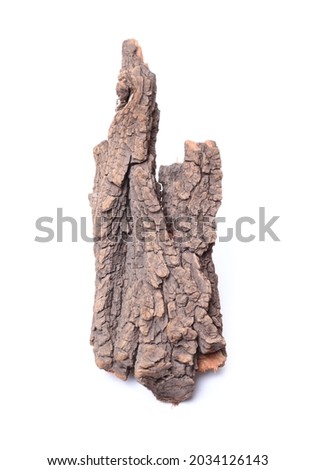 Dry bark on a white background