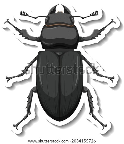 A sticker template with top view of a beetle isolated illustration