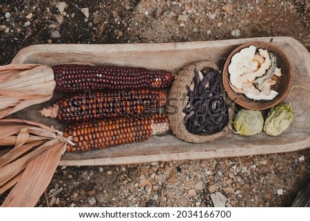 wooden tray with typical native American (Powhatan) food and ingredients of the past