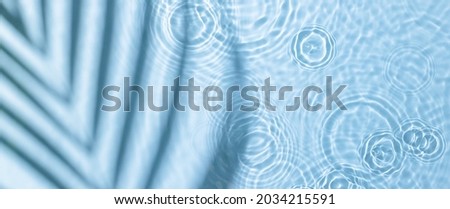 Water panoramic banner background. Blue aqua texture, surface of ripples, rings, transparent, palm leaf shadows and sunlight. Spa concept background. Flat lay, top view, copy space